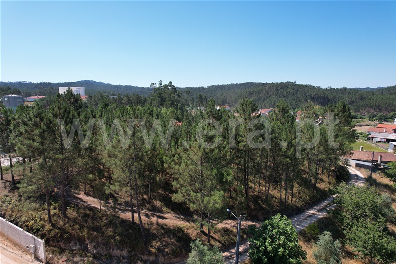 Terreno para Construção  com Urbano Ourém, Matas e Cercal - 1259929 - 10