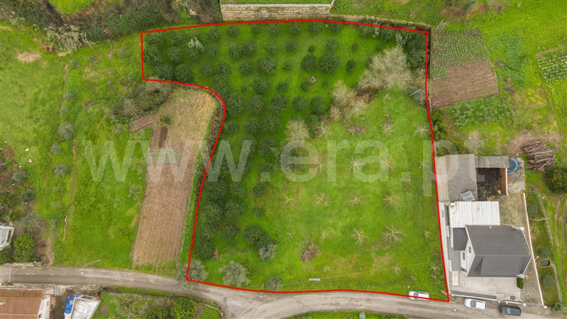 Terreno para Construção / Ourém, Matas e Cercal