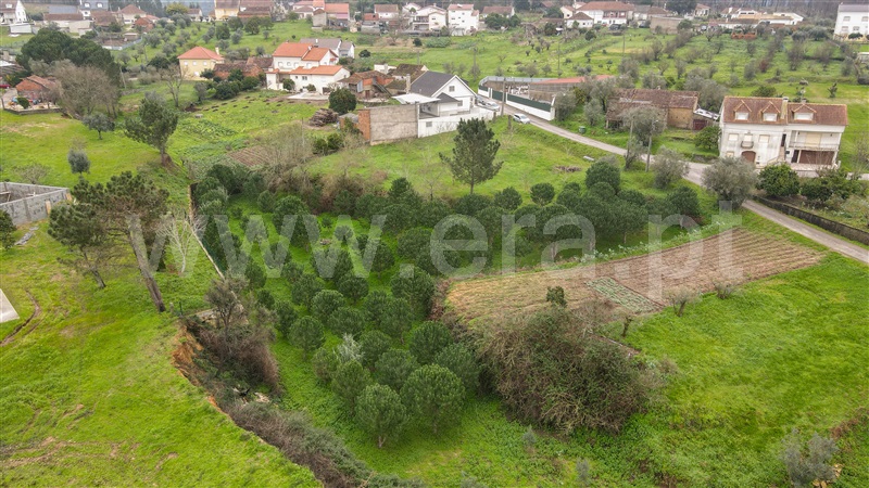 Terreno para Construção  Ourém, Matas e Cercal - 1298684 - 2