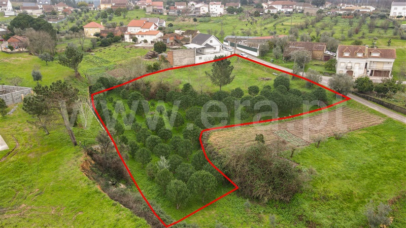 Terreno para Construção  Ourém, Matas e Cercal - 1298684 - 3