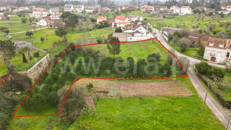 Terreno para Construção  Ourém, Matas e Cercal - 1298684 - 5