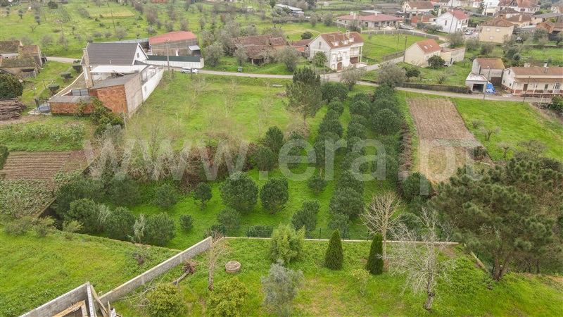 Terreno para Construção  Ourém, Matas e Cercal - 1298684 - 11