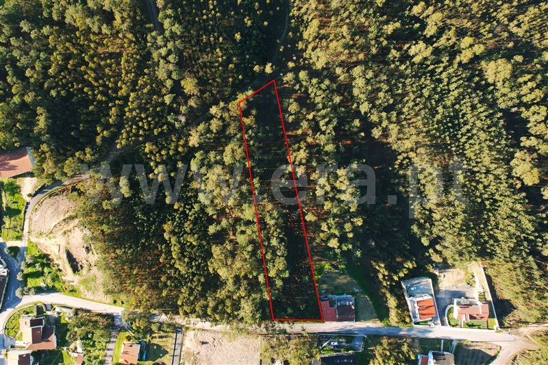 Terreno para Construção / Ourém, Matas e Cercal