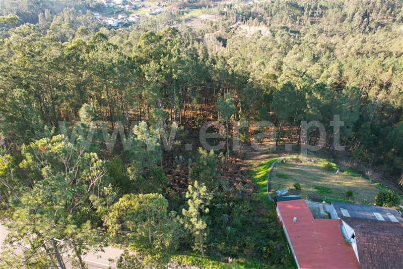 Terreno para Construção  Ourém, Matas e Cercal - 1300463 - 2