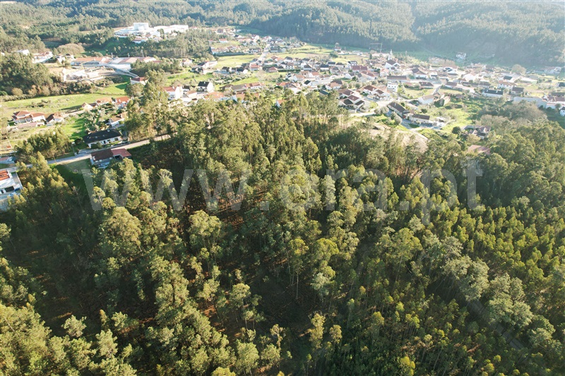 Terreno para Construção  Ourém, Matas e Cercal - 1300463 - 3