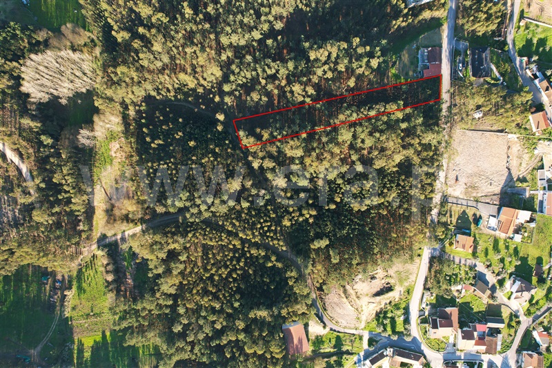 Terreno para Construção  Ourém, Matas e Cercal - 1300463 - 4