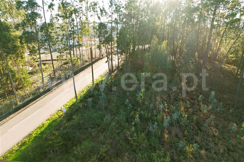 Terreno para Construção  Ourém, Matas e Cercal - 1300463 - 7