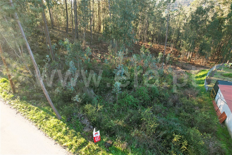Terreno para Construção  Ourém, Matas e Cercal - 1300463 - 8