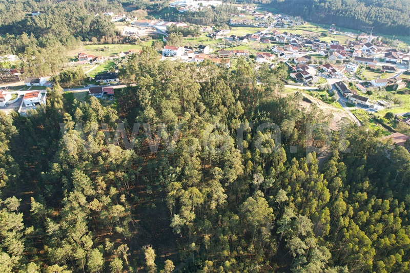 Terreno para Construção  Ourém, Matas e Cercal - 1300463 - 9