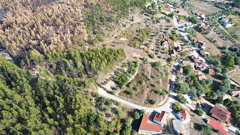 Terreno para Construção  Ourém, Matas e Cercal - 1358528 - 12