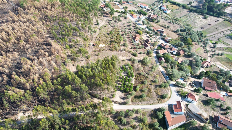 Terreno para Construção  Ourém, Matas e Cercal - 1358528 - 13