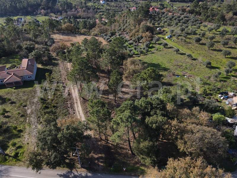 Terreno para Construção  Ourém, Nossa Senhora da Piedade - 1138145 - 3