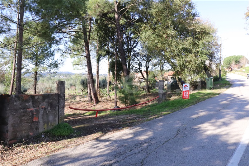 Terreno para Construção  Ourém, Nossa Senhora da Piedade - 1138145 - 12