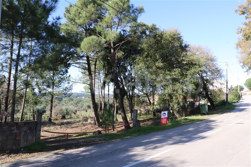Terreno para Construção  Ourém, Nossa Senhora da Piedade - 1138145 - 13