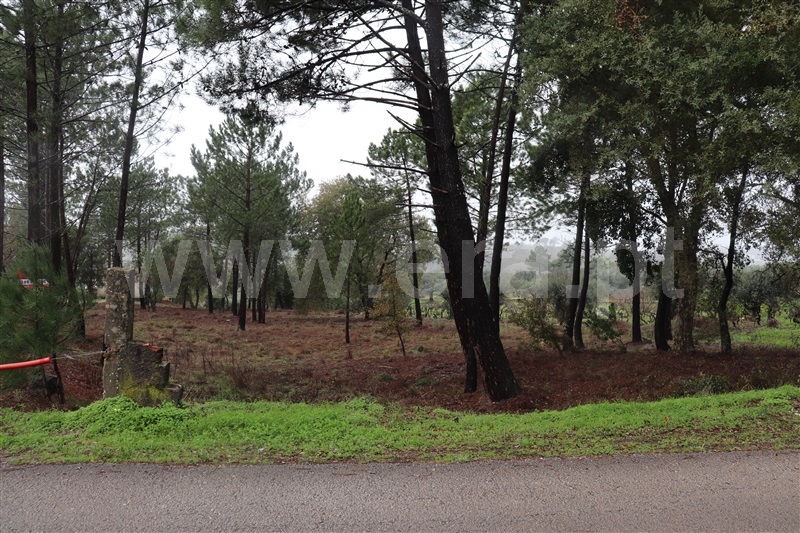Terreno para Construção  Ourém, Nossa Senhora da Piedade - 1138145 - 14