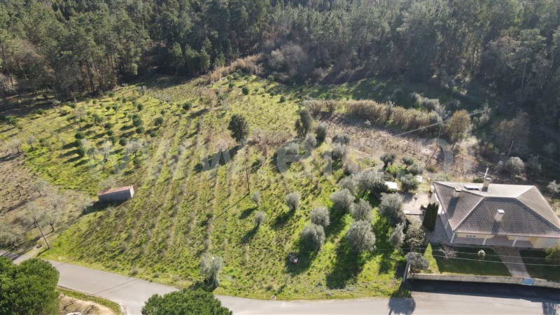 Terreno para Construção  Ourém, Rio de Couros e Casal dos Bernardos - 1154919 - 3