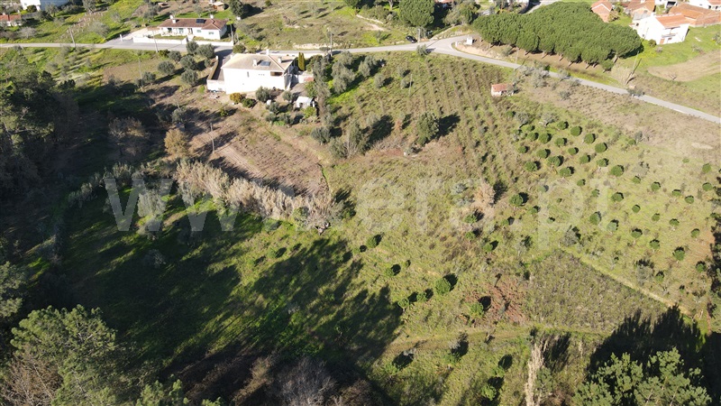 Terreno para Construção  Ourém, Rio de Couros e Casal dos Bernardos - 1154919 - 6
