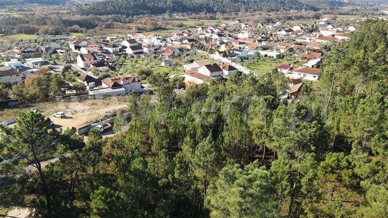Terreno para Construção  Ourém, Rio de Couros e Casal dos Bernardos - 1217349 - 4