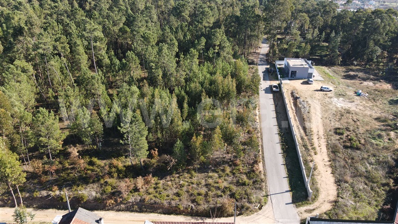 Terreno para Construção  Ourém, Rio de Couros e Casal dos Bernardos - 1217349 - 5