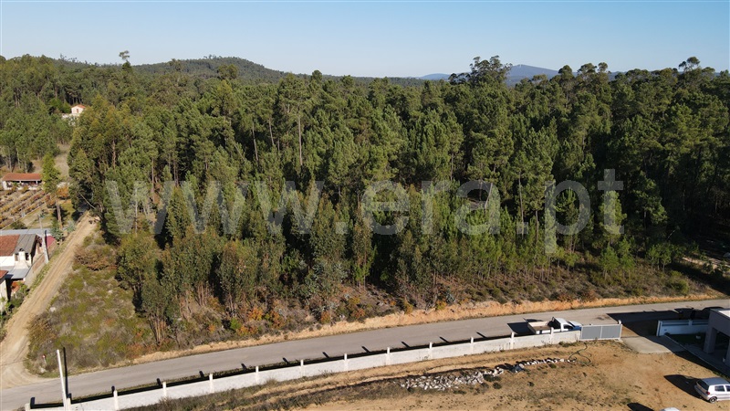 Terreno para Construção  Ourém, Rio de Couros e Casal dos Bernardos - 1217349 - 6