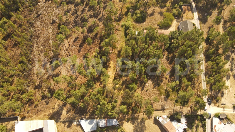 Terreno para Construção  com Aprovado Ourém, Rio de Couros e Casal dos Bernardos - 1270518 - 2