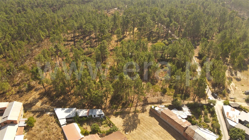 Terreno para Construção  com Aprovado Ourém, Rio de Couros e Casal dos Bernardos - 1270518 - 3