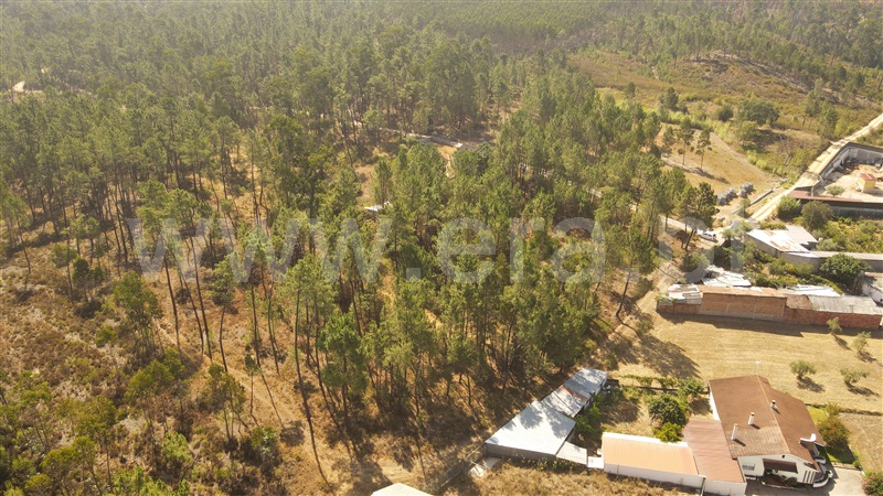 Terreno para Construção  com Aprovado Ourém, Rio de Couros e Casal dos Bernardos - 1270518 - 4