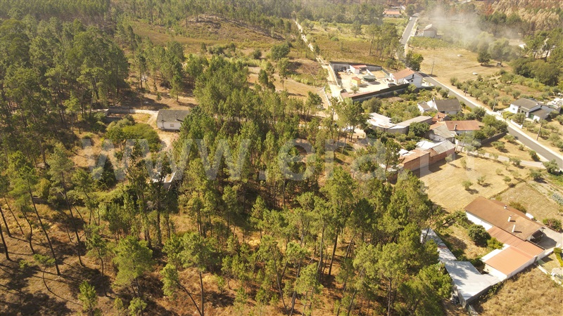 Terreno para Construção  com Aprovado Ourém, Rio de Couros e Casal dos Bernardos - 1270518 - 5