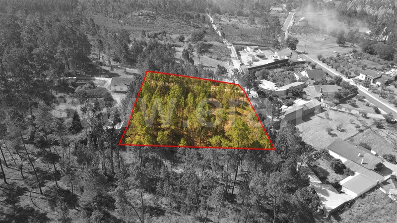 Terreno para Construção  com Aprovado Ourém, Rio de Couros e Casal dos Bernardos - 1270518 - 6
