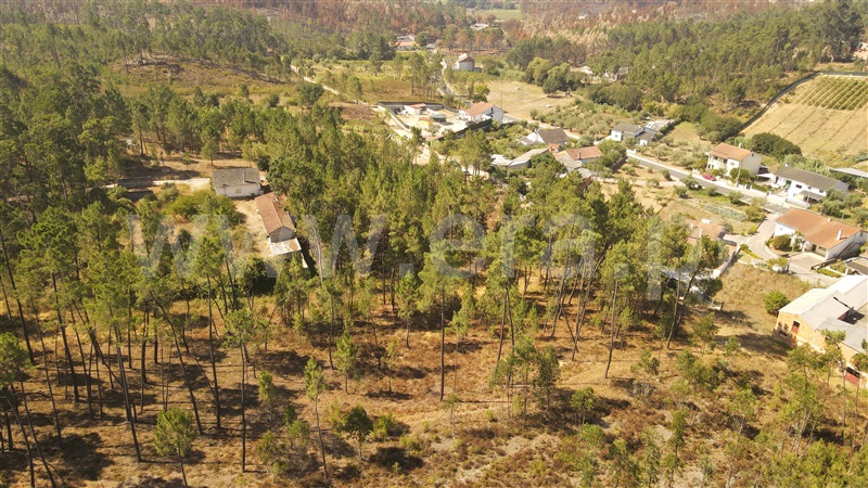 Terreno para Construção  com Aprovado Ourém, Rio de Couros e Casal dos Bernardos - 1270518 - 7