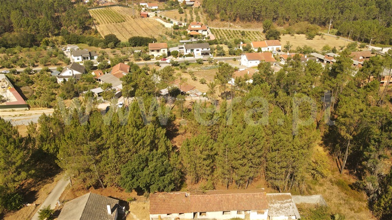 Terreno para Construção  com Aprovado Ourém, Rio de Couros e Casal dos Bernardos - 1270518 - 8