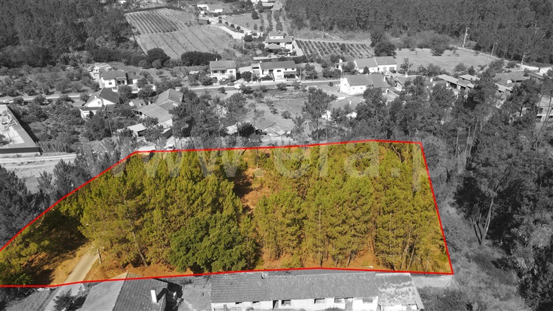 Terreno para Construção  com Aprovado Ourém, Rio de Couros e Casal dos Bernardos - 1270518 - 9