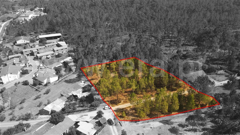 Terreno para Construção  com Aprovado Ourém, Rio de Couros e Casal dos Bernardos - 1270518 - 11