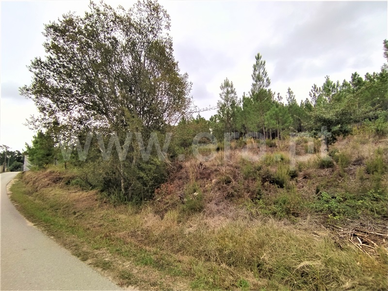 Terreno para Construção / Ourém, Seiça