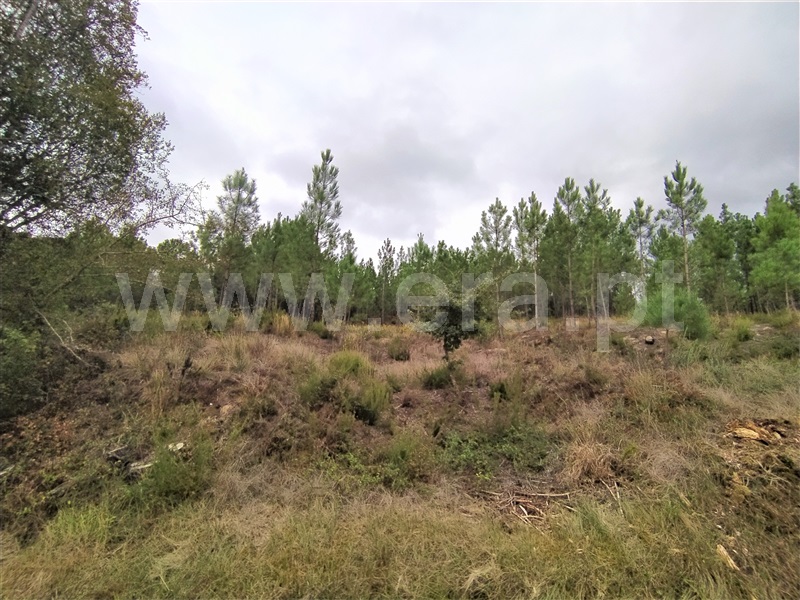 Terreno para Construção  Ourém, Seiça - 1212227 - 2
