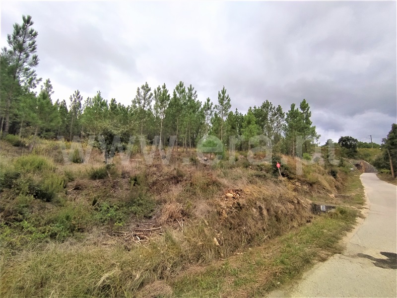 Terreno para Construção  Ourém, Seiça - 1212227 - 3