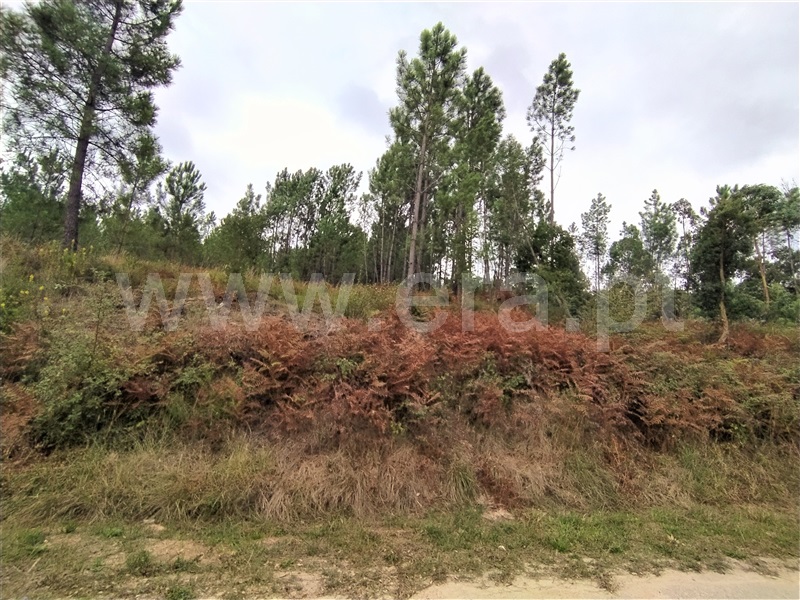 Terreno para Construção  Ourém, Seiça - 1212227 - 4