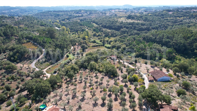Terreno para Construção  Ourém, Seiça - 1361494 - 8