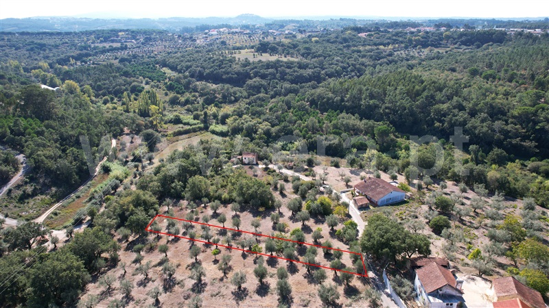 Terreno para Construção  Ourém, Seiça - 1361494 - 17