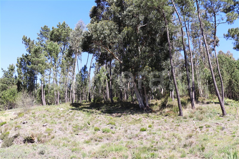 Terreno para Construção  Ourém, Urqueira - 1145672 - 4