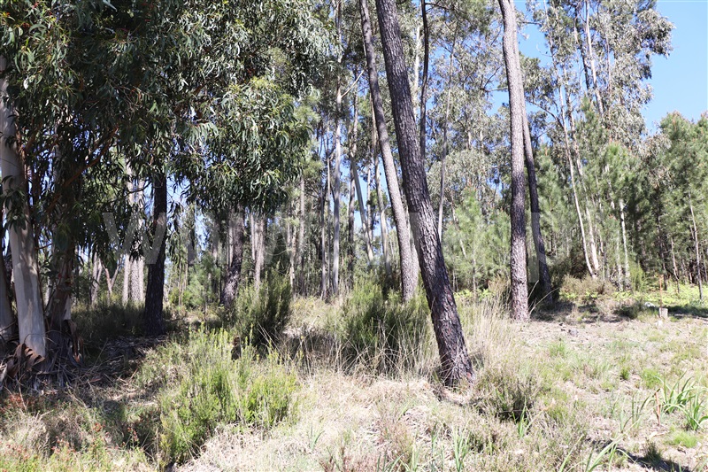 Terreno para Construção  Ourém, Urqueira - 1145672 - 5