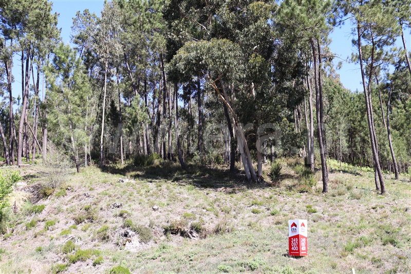 Terreno para Construção  Ourém, Urqueira - 1145672 - 6