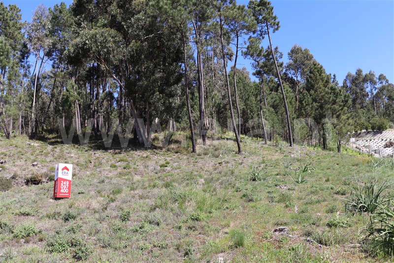 Terreno para Construção  Ourém, Urqueira - 1145672 - 7