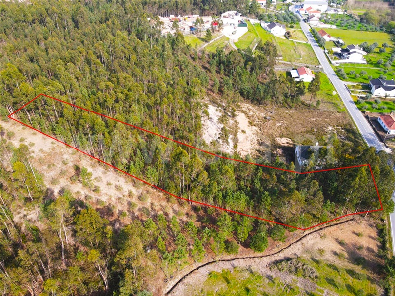 Terreno para Construção / Ourém, Urqueira