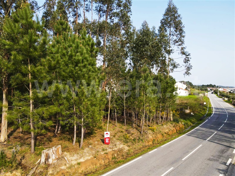Terreno para Construção  Ourém, Urqueira - 1155377 - 7