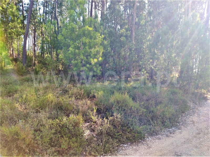Terreno para Construção  Ourém, Urqueira - 1212221 - 2