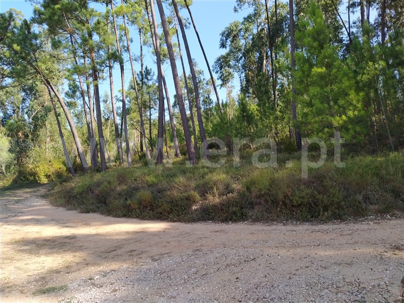 Terreno para Construção  Ourém, Urqueira - 1212221 - 3