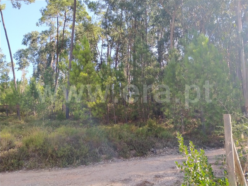 Terreno para Construção  Ourém, Urqueira - 1212221 - 4
