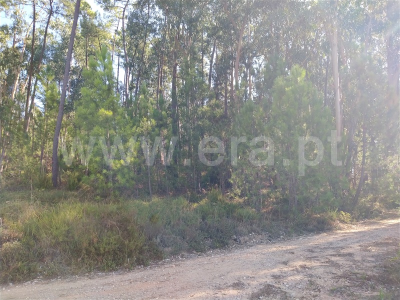 Terreno para Construção  Ourém, Urqueira - 1212221 - 5