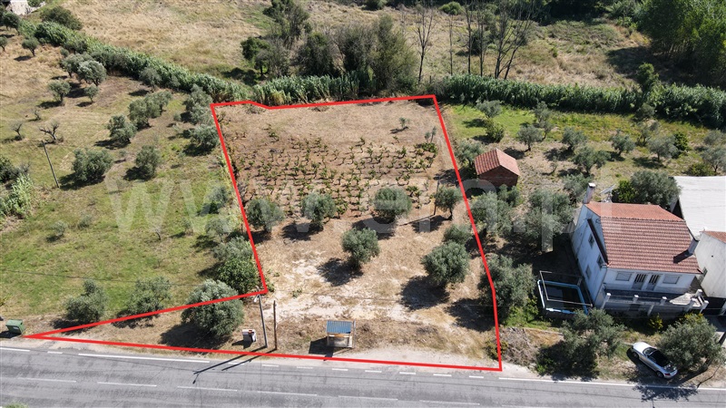 Terreno para Construção / Ourém, Urqueira